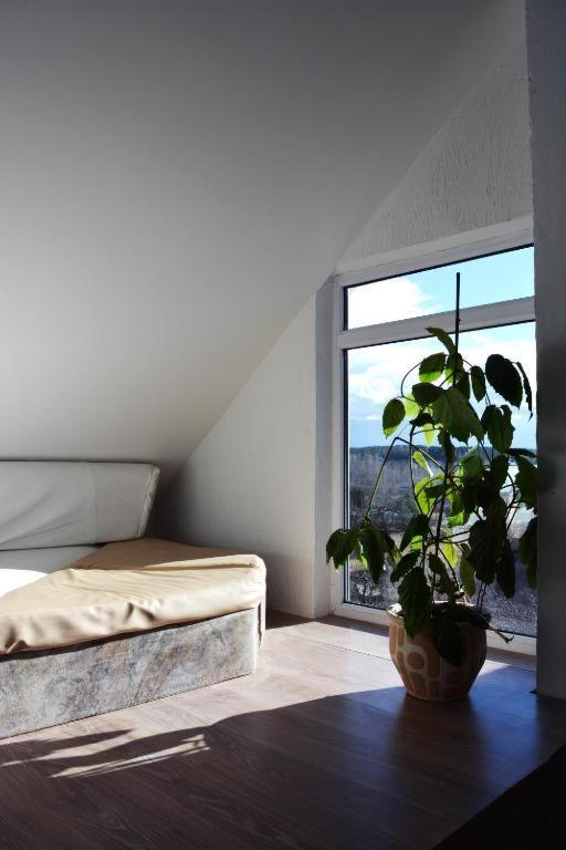 Jurgis Guest House Kaunas Exteriör bild